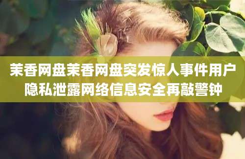 茉香网盘茉香网盘突发惊人事件用户隐私泄露网络信息安全再敲警钟