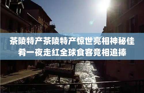 茶陵特产茶陵特产惊世亮相神秘佳肴一夜走红全球食客竞相追捧