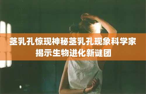 茎乳孔惊现神秘茎乳孔现象科学家揭示生物进化新谜团