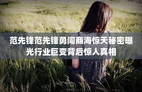 范先锋范先锋勇闯商海惊天秘密曝光行业巨变背后惊人真相