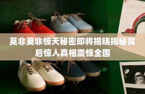 莫非莫非惊天秘密即将揭晓揭秘背后惊人真相震惊全国