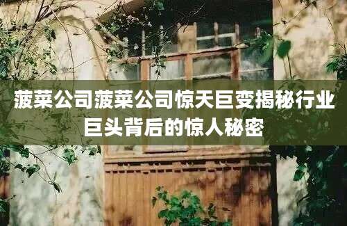 菠菜公司菠菜公司惊天巨变揭秘行业巨头背后的惊人秘密