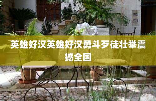 英雄好汉英雄好汉勇斗歹徒壮举震撼全国