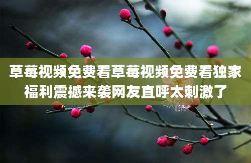 草莓视频免费看草莓视频免费看独家福利震撼来袭网友直呼太刺激了