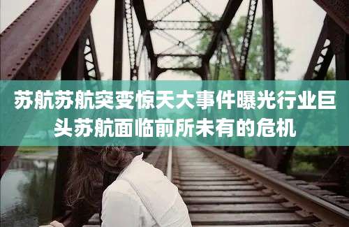 苏航苏航突变惊天大事件曝光行业巨头苏航面临前所未有的危机