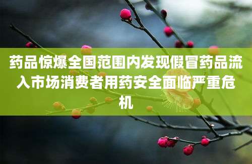 药品惊爆全国范围内发现假冒药品流入市场消费者用药安全面临严重危机