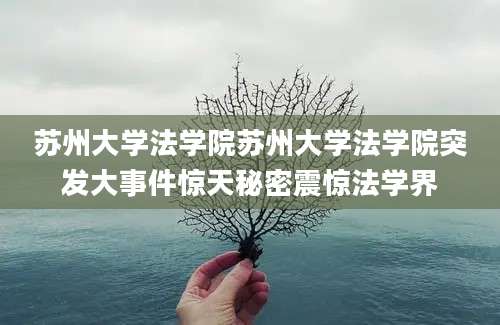 苏州大学法学院苏州大学法学院突发大事件惊天秘密震惊法学界