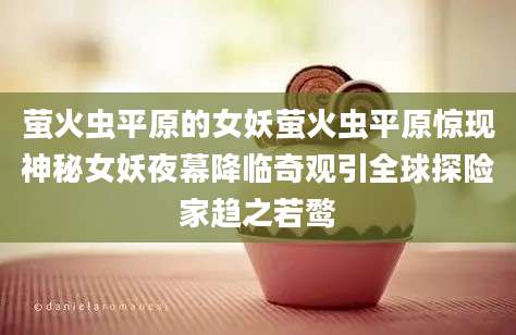 萤火虫平原的女妖萤火虫平原惊现神秘女妖夜幕降临奇观引全球探险家趋之若鹜