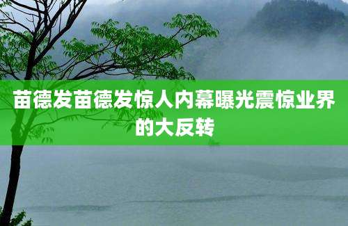 苗德发苗德发惊人内幕曝光震惊业界的大反转
