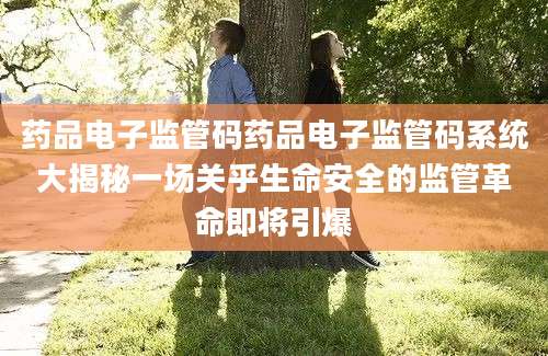 药品电子监管码药品电子监管码系统大揭秘一场关乎生命安全的监管革命即将引爆