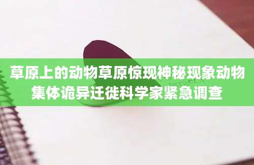 草原上的动物草原惊现神秘现象动物集体诡异迁徙科学家紧急调查