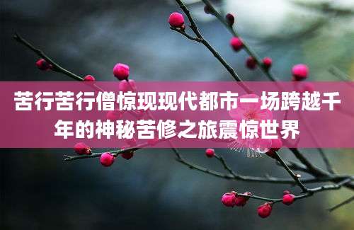 苦行苦行僧惊现现代都市一场跨越千年的神秘苦修之旅震惊世界