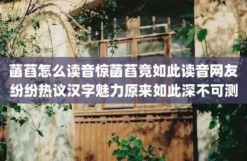 菡萏怎么读音惊菡萏竟如此读音网友纷纷热议汉字魅力原来如此深不可测