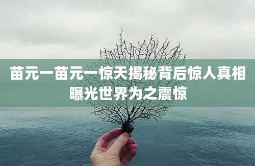 苗元一苗元一惊天揭秘背后惊人真相曝光世界为之震惊
