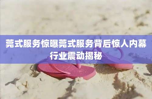 莞式服务惊曝莞式服务背后惊人内幕行业震动揭秘