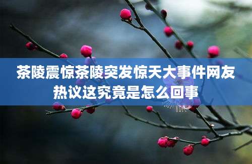 茶陵震惊茶陵突发惊天大事件网友热议这究竟是怎么回事