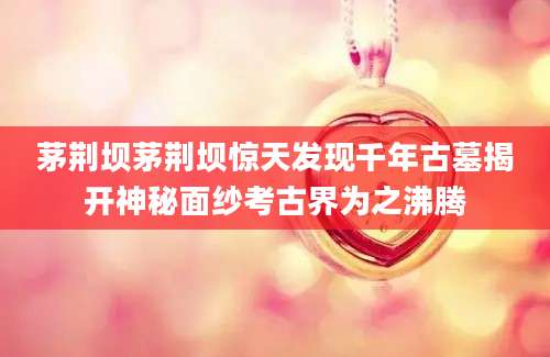 茅荆坝茅荆坝惊天发现千年古墓揭开神秘面纱考古界为之沸腾