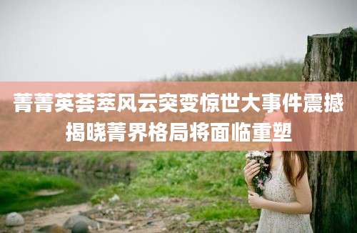 菁菁英荟萃风云突变惊世大事件震撼揭晓菁界格局将面临重塑