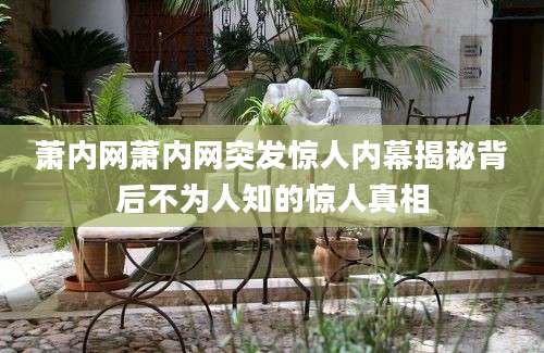 萧内网萧内网突发惊人内幕揭秘背后不为人知的惊人真相