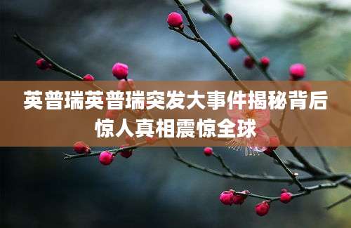 英普瑞英普瑞突发大事件揭秘背后惊人真相震惊全球