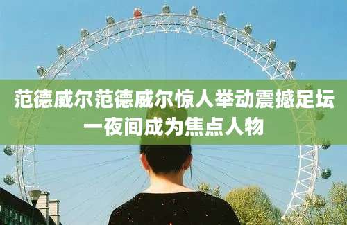 范德威尔范德威尔惊人举动震撼足坛一夜间成为焦点人物