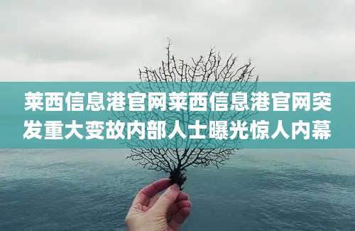 莱西信息港官网莱西信息港官网突发重大变故内部人士曝光惊人内幕