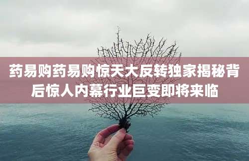 药易购药易购惊天大反转独家揭秘背后惊人内幕行业巨变即将来临