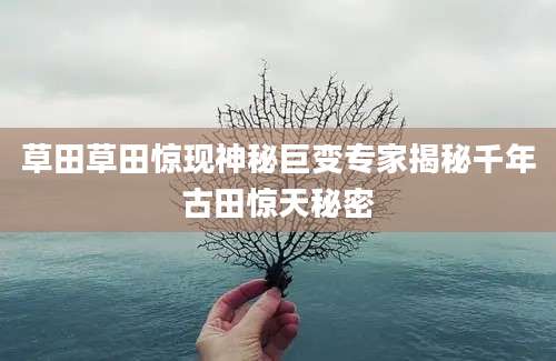 草田草田惊现神秘巨变专家揭秘千年古田惊天秘密
