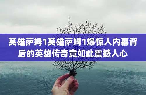 英雄萨姆1英雄萨姆1爆惊人内幕背后的英雄传奇竟如此震撼人心