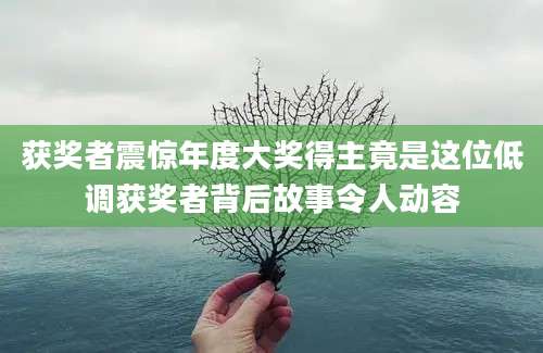 获奖者震惊年度大奖得主竟是这位低调获奖者背后故事令人动容
