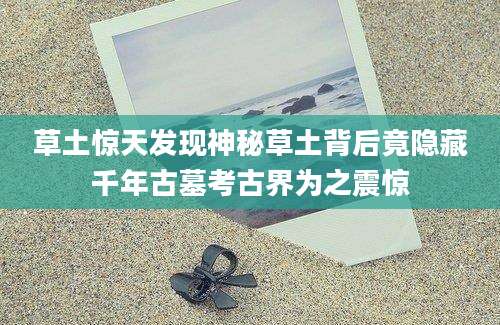 草土惊天发现神秘草土背后竟隐藏千年古墓考古界为之震惊