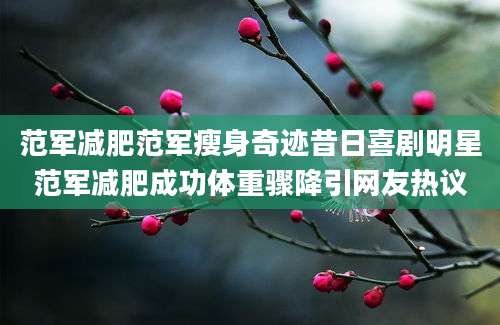 范军减肥范军瘦身奇迹昔日喜剧明星范军减肥成功体重骤降引网友热议