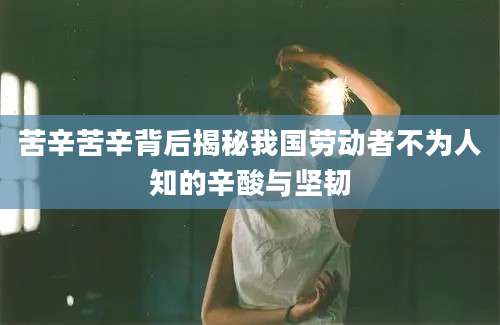 苦辛苦辛背后揭秘我国劳动者不为人知的辛酸与坚韧