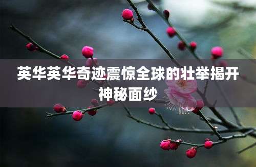 英华英华奇迹震惊全球的壮举揭开神秘面纱