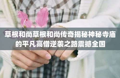 草根和尚草根和尚传奇揭秘神秘寺庙的平凡高僧逆袭之路震撼全国