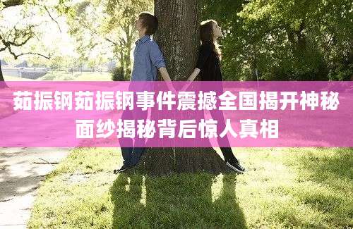 茹振钢茹振钢事件震撼全国揭开神秘面纱揭秘背后惊人真相