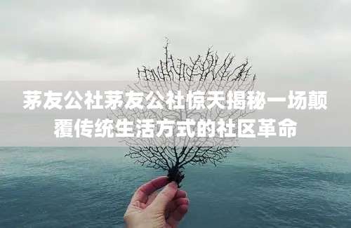 茅友公社茅友公社惊天揭秘一场颠覆传统生活方式的社区革命