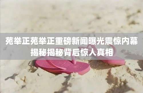 苑举正苑举正重磅新闻曝光震惊内幕揭秘揭秘背后惊人真相