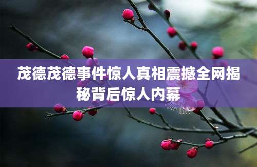 茂德茂德事件惊人真相震撼全网揭秘背后惊人内幕