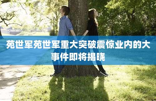 苑世军苑世军重大突破震惊业内的大事件即将揭晓