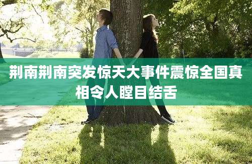 荆南荆南突发惊天大事件震惊全国真相令人瞠目结舌