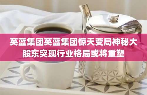 英蓝集团英蓝集团惊天变局神秘大股东突现行业格局或将重塑