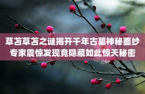 草苫草苫之谜揭开千年古墓神秘面纱专家震惊发现竟隐藏如此惊天秘密