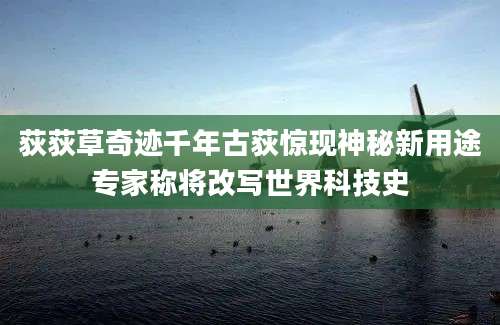 荻荻草奇迹千年古荻惊现神秘新用途专家称将改写世界科技史