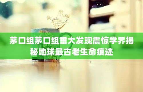 茅口组茅口组重大发现震惊学界揭秘地球最古老生命痕迹