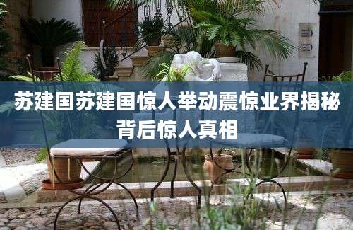 苏建国苏建国惊人举动震惊业界揭秘背后惊人真相