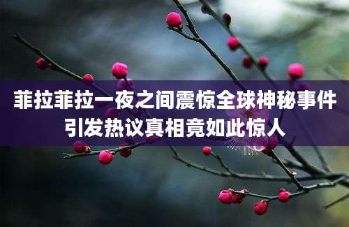 菲拉菲拉一夜之间震惊全球神秘事件引发热议真相竟如此惊人