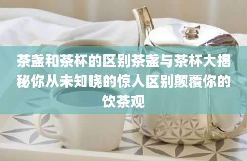 茶盏和茶杯的区别茶盏与茶杯大揭秘你从未知晓的惊人区别颠覆你的饮茶观