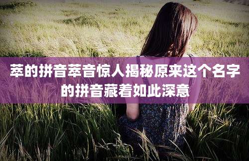 萃的拼音萃音惊人揭秘原来这个名字的拼音藏着如此深意