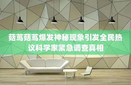 菇茑菇茑爆发神秘现象引发全民热议科学家紧急调查真相